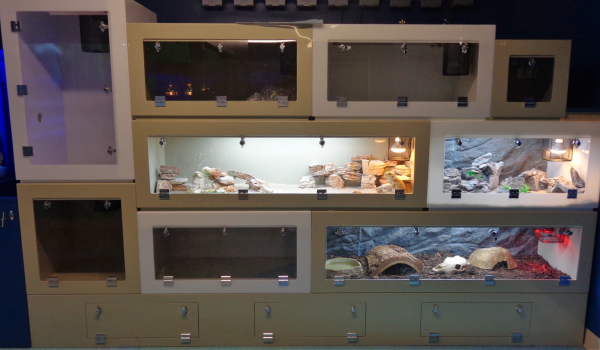 HazelHead Pets CornerPhoto Edited E1515413094680