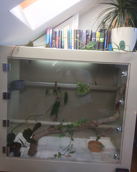 Viv Photo From Richard